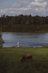 Shkoder, Albania. Natural landscape. Cow grazing by the lake. The man is fishing