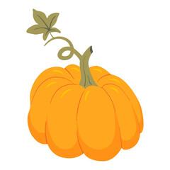 Pumpkin cartoon vector illustration. Thanksgiving, harvest and Halloween element isolated on white background.
