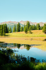 Lac de roue