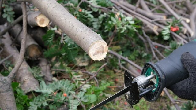 Man using Saber Saw to sawing Tree Twigs outdoor closeup