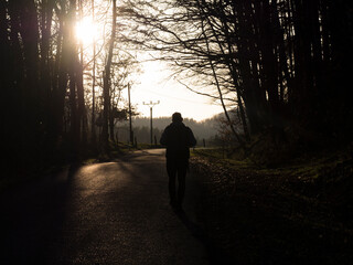 Silhouette of man figure walking at asphalt road lined by deciduous trees in golden orange sunset light. Loneliness, freedom concept