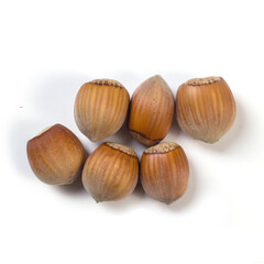 Group of several hazelnuts on a light background