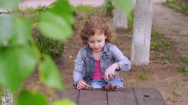 Blurred curly-haired girl 5 years old in a denim suit plays with pine cones on a wooden table in the summer in the fresh air outdoors