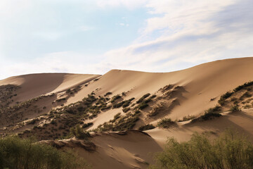 Fototapeta na wymiar Dune Sarykum in Dagestan, Russia
