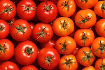 Close-up of ripe fresh red and yellow tomatoes. Food background. Top view.