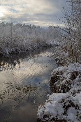 
Fresh snow on reeds by the small river running through the forest on misty winter evening. Focus on reeds in foreground.