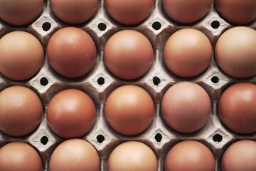 fresh eggs in a basket concept healthy food, Indian organic eggs farm