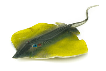 Stingray toy on white
