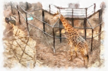 giraffe watercolor style illustration impressionist painting.