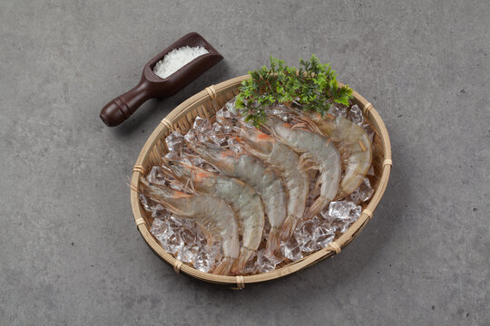 Caridea 画像 参照 17,064 Stock 写真、ベクターおよびビデオ Adobe Stock