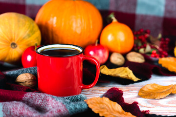A cup of hot coffee, warm checkered plaid, fall leaves and pumpkins on the background. Autumn mood, morning coffee, relaxing weekend. Close-up.