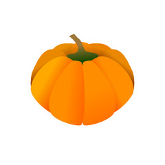 Vector pumpkin fruit flat icon. For Thanksgiving, Harvest Festival, Halloween party invitations, advertisement and autumn sales.