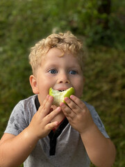 boy in a gray t-shirt eats a green apple in the garden