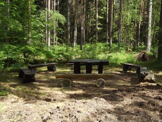 Intense experience of nature is a hike through the Ribnitz forest and the Große Ribnitzer Moor...