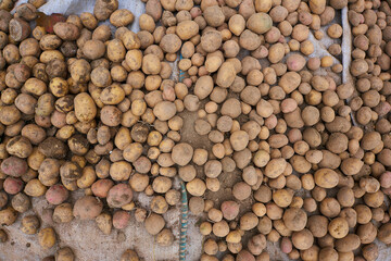 potatoes on a white bag