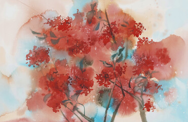 Rowan tree branches with berries watercolor background