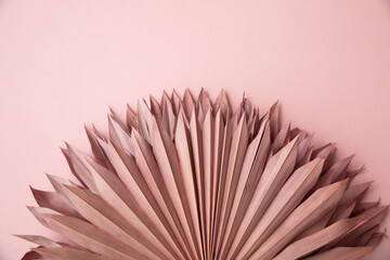 Dried pink tropical palm tree leaf boho style fashionable decoration on a pastel pink background © ink drop