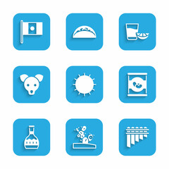 Set Sun, Cactus, Pan flute, Beans in can, Tequila bottle, Dog, glass with lemon and Mexico flag icon. Vector
