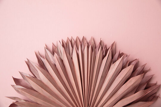 Dried pink tropical palm tree leaf boho style fashionable decoration on a pastel pink background