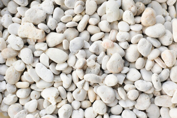 White pebble texture in close