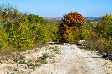 Fototapeta na wymiar Chalk road in the autumn forest.