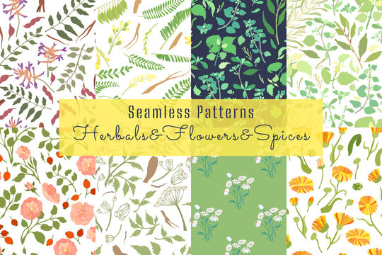 Set of Patterns with Culinary and Medicinal Herbs