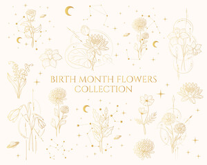 Celestial birth month  flowers gold collection. Vector isolated set of spiritual plants, moon and stars for greeting cards and wedding invitations.