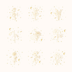 Twelve celestial birth month golden flowers. Vector isolated set with spiritual plants, moon and stars for wedding invitations and  gift cards.