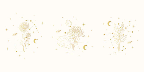Hand drawn golden set of celestial birth month  flowers. Three vector isolated spiritual plants, moon and stars for gift cards and wedding invitations.