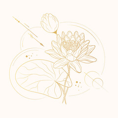 Hand drawn golden geometrical water lily. Vector illustration for invitations and gift cards.