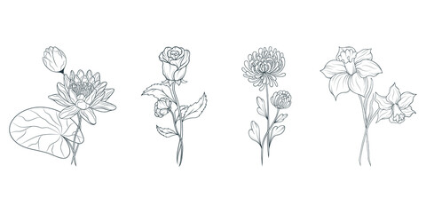 Four hand drawn  flowers set. Vector isolated summer blossom herbs and buds for wedding invitations.