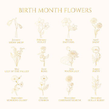 Birth month flowers golden set. Vector isolated spring and summer blossom herbs and buds for calendar.