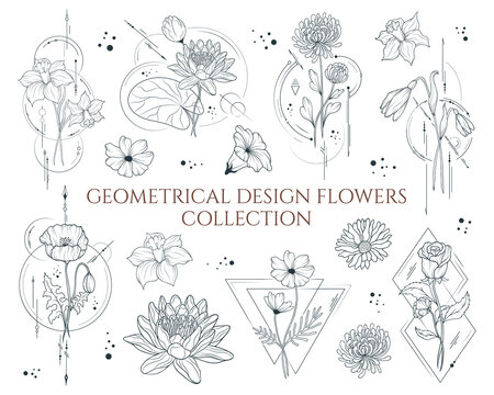 Geometrical design flowers collection. Vector isolated spring and summer flowers  for wedding invitations and greeting cards.