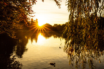 Sunrise at Kleinhesseloher See in the English Garden in Munich