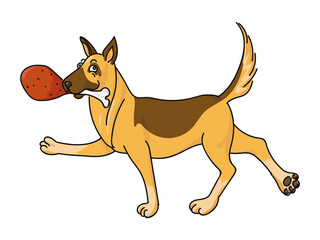 Happy Dog With Big Bone in mouth. German shepherd dog.