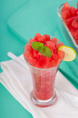 Watermelon Mojito