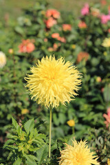 sketches of early autumn in the city park