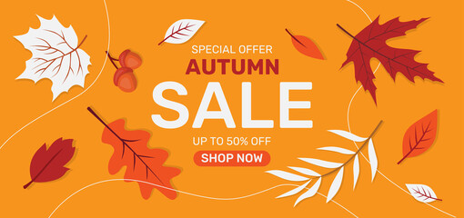 Banner for autumn sale with colorful seasonal fall leaves for shopping discount promotion. Vector illustration. EPS10