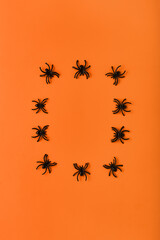 creative frame for halloween celebration on bright orange background. decor for halloween in the form of black spiders. concept for holiday postcard, banner with place for text. simple flat lay