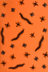 scary halloween pattern of various insects in black on a bright orange background backdrop. decor for the holiday in the form of creepy spiders. simple flat lay, top view