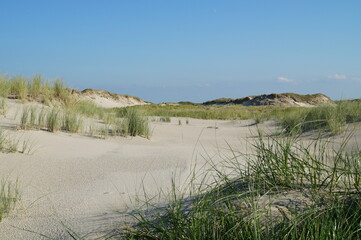 Fototapeta na wymiar White sand dunes of Norderney Island on the North Sea in Germany 