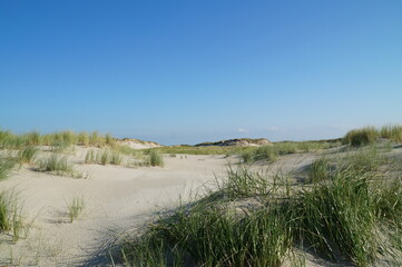 Fototapeta na wymiar Scenic white sand dunes of Norderney Island in the North Sea in Germany