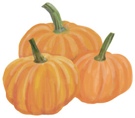 Watercolor painting of pumpkin vegetable. Healthy eating lifestyle concept.