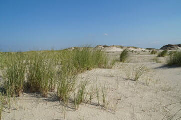 Sand dunes of Norderney Island in the North Sea in Germany