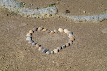 a heart made of seashells on the sandy beach of Baltrum Island in the North Sea in Germany