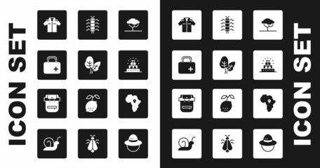 Set African tree, Tropical leaves, First aid kit, Shirt, Chichen Itza in Mayan, Centipede insect, Map of and Hiking backpack icon. Vector