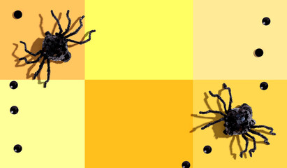 Halloween black spiders - overhead view flat lay