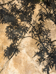 Stone Embankment Detail &ndash; Foliage Shadow Vertical