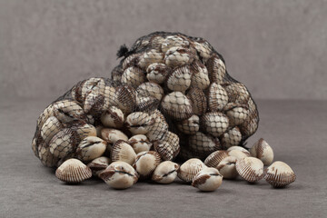 조개 꼬막 해산물