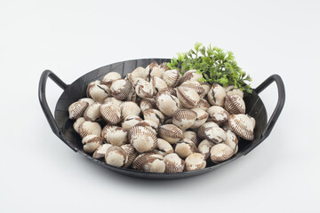 조개 꼬막 해산물